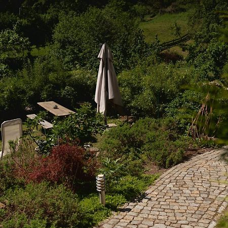 Görlitz Haus Am Berzdorfer See - 3 Schlafzimmer - Ganzes Haus Zur Alleinnutzung - Terrasse - Hochwertige Ausstattung מראה חיצוני תמונה