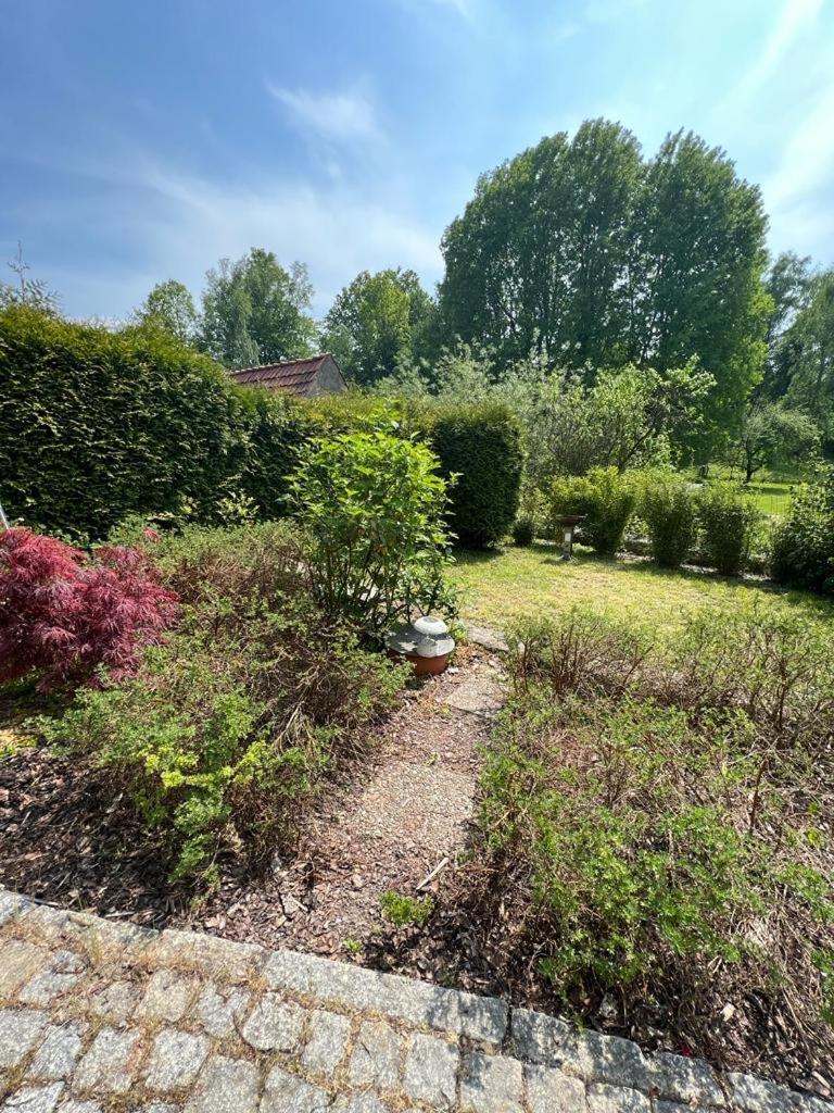 Görlitz Haus Am Berzdorfer See - 3 Schlafzimmer - Ganzes Haus Zur Alleinnutzung - Terrasse - Hochwertige Ausstattung מראה חיצוני תמונה