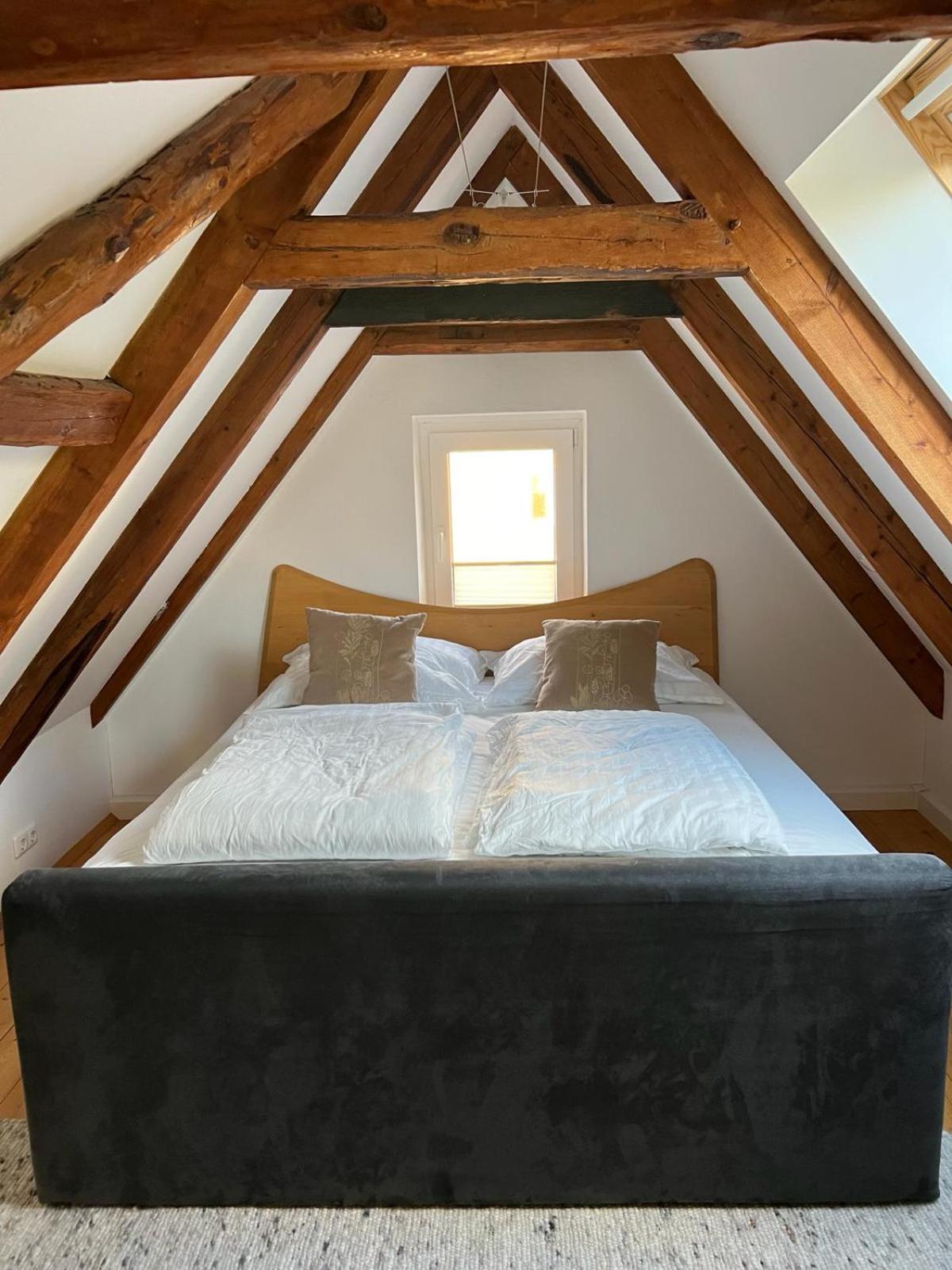 Görlitz Haus Am Berzdorfer See - 3 Schlafzimmer - Ganzes Haus Zur Alleinnutzung - Terrasse - Hochwertige Ausstattung מראה חיצוני תמונה